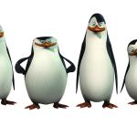 Madagascar Penguins meme