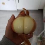 Onion Butt