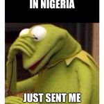 Facepalm frog | SOME MAN IN NIGERIA; JUST SENT ME A D-CK PIC | image tagged in facepalm frog | made w/ Imgflip meme maker
