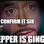Iron Man Tony Stark Y No Me Invitó | TESTS CONFIRM IT SIR; PEPPER IS GINGER | image tagged in iron man tony stark y no me invit | made w/ Imgflip meme maker