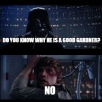 Star wars no No. 2 | DID I EVER TELL YOU THAT MASTER YODA IS A GOOD GARDNER? NO; DO YOU KNOW WHY HE IS A GOOD GARDNER? NO; HE HAS GREEN THUMBS; NOOOOOOOOOOO! | image tagged in star wars no no 2 | made w/ Imgflip meme maker