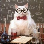 Chem Cat | IF CATS SING; IT WILL RULE ALL | image tagged in chem cat | made w/ Imgflip meme maker