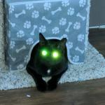 Lasercat Murr