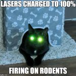 Lasercat Murr | LASERS CHARGED TO 100%; FIRING ON RODENTS | image tagged in lasercat murr | made w/ Imgflip meme maker