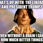 Wizard of Oz Scarecrow | WHAT'S UP WITH  THE LIBERALS AND PRESIDENT TRUMP? EVEN WITHOUT A BRAIN I CAN SEE HOW MUCH BETTER THINGS ARE | image tagged in wizard of oz scarecrow | made w/ Imgflip meme maker