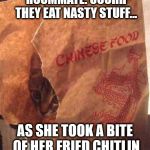 Chinese Food Not So Well Done | ME: I'M ORDERING CHINESE. ROOMMATE: OOOHH THEY EAT NASTY STUFF... AS SHE TOOK A BITE OF HER FRIED CHITLIN AND MUSTARD BISCUIT! | image tagged in chinese food not so well done | made w/ Imgflip meme maker