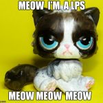 Grumpy LPS | MEOW  I'M  A LPS; MEOW MEOW  MEOW | image tagged in grumpy lps | made w/ Imgflip meme maker