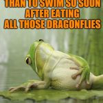 Waiting two hours applies to all of us (Frog Week June 4-10, a JBmemegeek & giveuahint event!) | I KNEW BETTER THAN TO SWIM SO SOON AFTER EATING ALL THOSE DRAGONFLIES | image tagged in full frog,memes,swimming,frog week,jbmemegeek,giveuahint | made w/ Imgflip meme maker