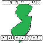 New Jersey | MAKE THE MEADOWLANDS; SMELL GREAT AGAIN | image tagged in new jersey | made w/ Imgflip meme maker