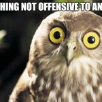 owl thing | SOMETHING NOT OFFENSIVE TO ANYBODY | image tagged in owl thing,wise owl,meme,memes | made w/ Imgflip meme maker