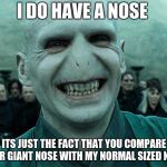 Voldermort funny | I DO HAVE A NOSE; ITS JUST THE FACT THAT YOU COMPARE YOUR GIANT NOSE WITH MY NORMAL SIZED NOSE | image tagged in voldermort funny | made w/ Imgflip meme maker