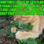 Plant lover | SOMETIMES I WALK UP TO A PLANT AND EXHALE CARBON DIOXIDE ALL OVER IT. DID I SAVE ITS LIFE? MAYBE. AM I A HERO? THAT'S FOR HISTORY TO DECIDE. | image tagged in plant lover,funny,memes,funny memes,hero,oxygen | made w/ Imgflip meme maker