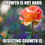 Roses | GROWTH IS NOT HARD; RESISTING GROWTH IS | image tagged in roses | made w/ Imgflip meme maker