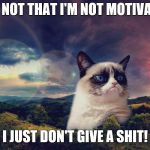 motivational grumpy cat | IT'S NOT THAT I'M NOT MOTIVATED; I JUST DON'T GIVE A SHIT! | image tagged in motivational grumpy cat | made w/ Imgflip meme maker