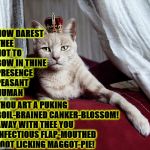 MEDIEVAL INSULT CAT | HOW DAREST THEE NOT TO BOW IN THINE PRESENCE PEASANT HUMAN; THOU ART A PUKING BOIL-BRAINED CANKER-BLOSSOM! AWAY WITH THEE YOU INFECTIOUS FLAP-MOUTHED FOOT LICKING MAGGOT-PIE! | image tagged in medieval insult cat | made w/ Imgflip meme maker