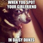 Swiggity swooty  | WHEN YOU SPOT YOUR GIRLFRIEND; IN DAISY DUKES | image tagged in swiggity swooty,memes,daisy dukes | made w/ Imgflip meme maker