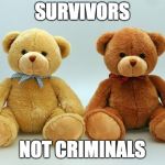 Teddy Bear | SURVIVORS; NOT CRIMINALS | image tagged in teddy bear | made w/ Imgflip meme maker