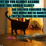 i didn't do it | WHY DO YOU BLINDLY ASSUME I DID THIS HUMAN-SLAVE? DID YOU EVER CONSIDER THAT THIS HOUSE MAY BE HAUNTED & THEY'RE FRAMING ME HUMAN? | image tagged in i didn't do it | made w/ Imgflip meme maker