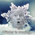 Trump flake | Winter is coming... | image tagged in trump flake | made w/ Imgflip meme maker