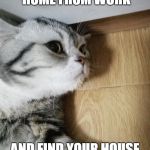 That Feeling After Working All Day | WHEN YOU COME HOME FROM WORK; AND FIND YOUR HOUSE TO BE A COMPLETE MESS | image tagged in that feeling after working all day | made w/ Imgflip meme maker
