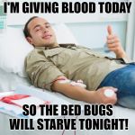 No Blood = No Bed Bugs | I'M GIVING BLOOD TODAY; SO THE BED BUGS WILL STARVE TONIGHT! | image tagged in blood donate thumbs up,bedbugs,thumbs up,blood,bed bugs,patient | made w/ Imgflip meme maker