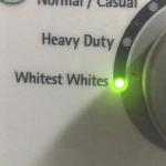 Whitest Whites