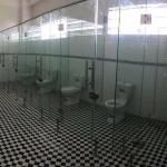 transparent bathroom
