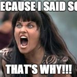 Because I Said So! | BECAUSE I SAID SO! THAT'S WHY!!! | image tagged in xena,because i said so,angry,mom | made w/ Imgflip meme maker