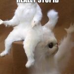 WTF Cat | WHEN I SEE SOMETHING REALLY STUPID | image tagged in wtf cat | made w/ Imgflip meme maker