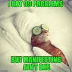 99 Problems Cat | I GOT 99 PROBLEMS; BUT MANIFESTING AIN'T ONE | image tagged in 99 problems cat | made w/ Imgflip meme maker