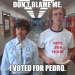 vote pedro | DON'T BLAME ME. I VOTED FOR PEDRO. | image tagged in vote pedro | made w/ Imgflip meme maker