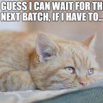 sad cat | I GUESS I CAN WAIT FOR THE NEXT BATCH, IF I HAVE TO... | image tagged in sad cat | made w/ Imgflip meme maker