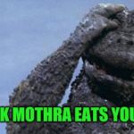 I'll kick him in his moth balls | WHEN DRUNK MOTHRA EATS YOUR SWEATER | image tagged in godzilla facepalm | made w/ Imgflip meme maker