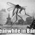 Mosquito Attack | Meanwhile in Bama | image tagged in mosquito attack | made w/ Imgflip meme maker