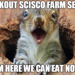 Squirrel | COOKOUT SCISCO FARM SEPT.8; I'M HERE WE CAN EAT NOW | image tagged in squirrel | made w/ Imgflip meme maker