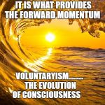 Forward waves with sun | ALWAYS TAKE THE WAY OF LEAST RESISTANCE... IT IS WHAT PROVIDES THE FORWARD MOMENTUM; VOLUNTARYISM......... THE EVOLUTION OF CONSCIOUSNESS | image tagged in forward waves with sun | made w/ Imgflip meme maker