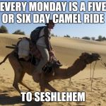When Monday starts  | EVERY MONDAY IS A FIVE OR SIX DAY CAMEL RIDE; TO SESHLEHEM | image tagged in camel - loaded,memes,sesh,weekend memes,seshlehem,sesh memes | made w/ Imgflip meme maker