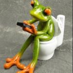 Frog on toilet 