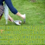 Dog poop | TWO INTERESTING FACTS FOR YOU: 1) SOME DOG POOP CAN LOOK LIKE A PINE CONE. 2) I'M NEVER KICKING ANYTHING WEARING SANDALS AGAIN. | image tagged in dog poop,funny,memes,funny memes | made w/ Imgflip meme maker
