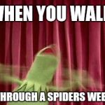 Oh God! It's On Me! - Is It On Me?-Its On Me! | WHEN YOU WALK; THROUGH A SPIDERS WEB | image tagged in kermit arms,spiders,frog week | made w/ Imgflip meme maker