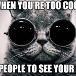 cat sunglasses | WHEN YOU'RE TOO COOL; FOR PEOPLE TO SEE YOUR EYES | image tagged in cat sunglasses | made w/ Imgflip meme maker