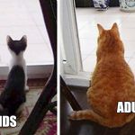 fat cats | KIDS; ADULTS | image tagged in fat cats | made w/ Imgflip meme maker