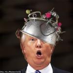 trump crowned
