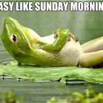 Lazy frog | EASY LIKE SUNDAY MORNING | image tagged in lazy frog,frog,frog week,meme,memes | made w/ Imgflip meme maker