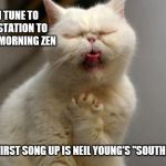Disgusted Cat | WHEN I TUNE TO A ROCK STATION TO ENJOY MY MORNING ZEN; AND THE FIRST SONG UP IS NEIL YOUNG'S "SOUTHERN MAN" | image tagged in disgusted cat | made w/ Imgflip meme maker