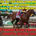 Justify | Justify, the 2018 triple crown winner turned down an invitation to the white house. When asked why, he replied:; "If I wanted to see a horse's ass, I would've finished second." | image tagged in justify | made w/ Imgflip meme maker