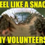 I just get so hungry! | I FEEL LIKE A SNACK. ANY VOLUNTEERS? | image tagged in good advice snake,memes | made w/ Imgflip meme maker