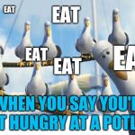 When you say you're not hungry at a potluck | EAT; EAT; EAT; EAT; EAT; WHEN YOU SAY YOU'RE NOT HUNGRY AT A POTLUCK | image tagged in gulls,diet,dieting | made w/ Imgflip meme maker