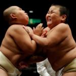 Child sumo wrestlers