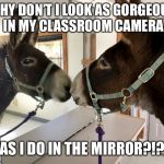 Gorgeous! (Dozer the Donkey) | WHY DON’T I LOOK AS GORGEOUS IN MY CLASSROOM CAMERA; AS I DO IN THE MIRROR?!? | image tagged in gorgeous dozer the donkey | made w/ Imgflip meme maker